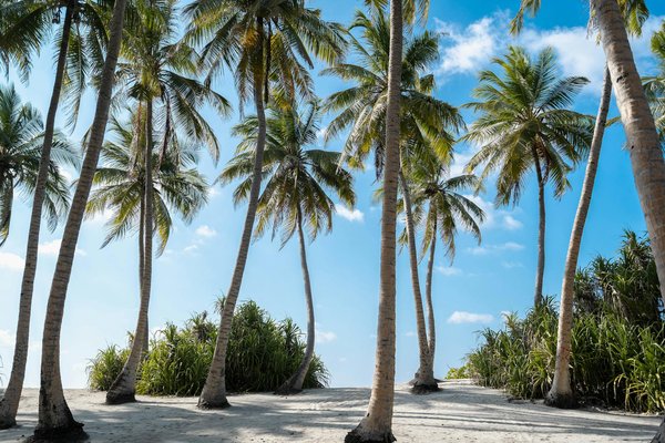 Discover Authentic British Blacksmithing Workshops: Your Guide to Hands-On Traditions!